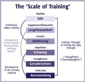 Illustration of the scales of training